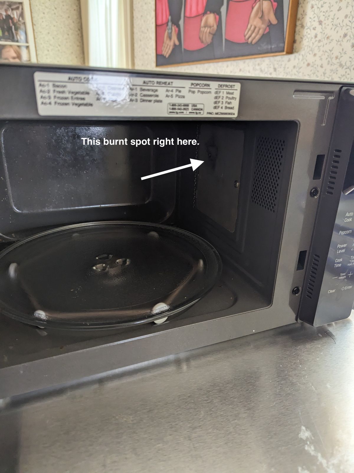 Microwave Repair