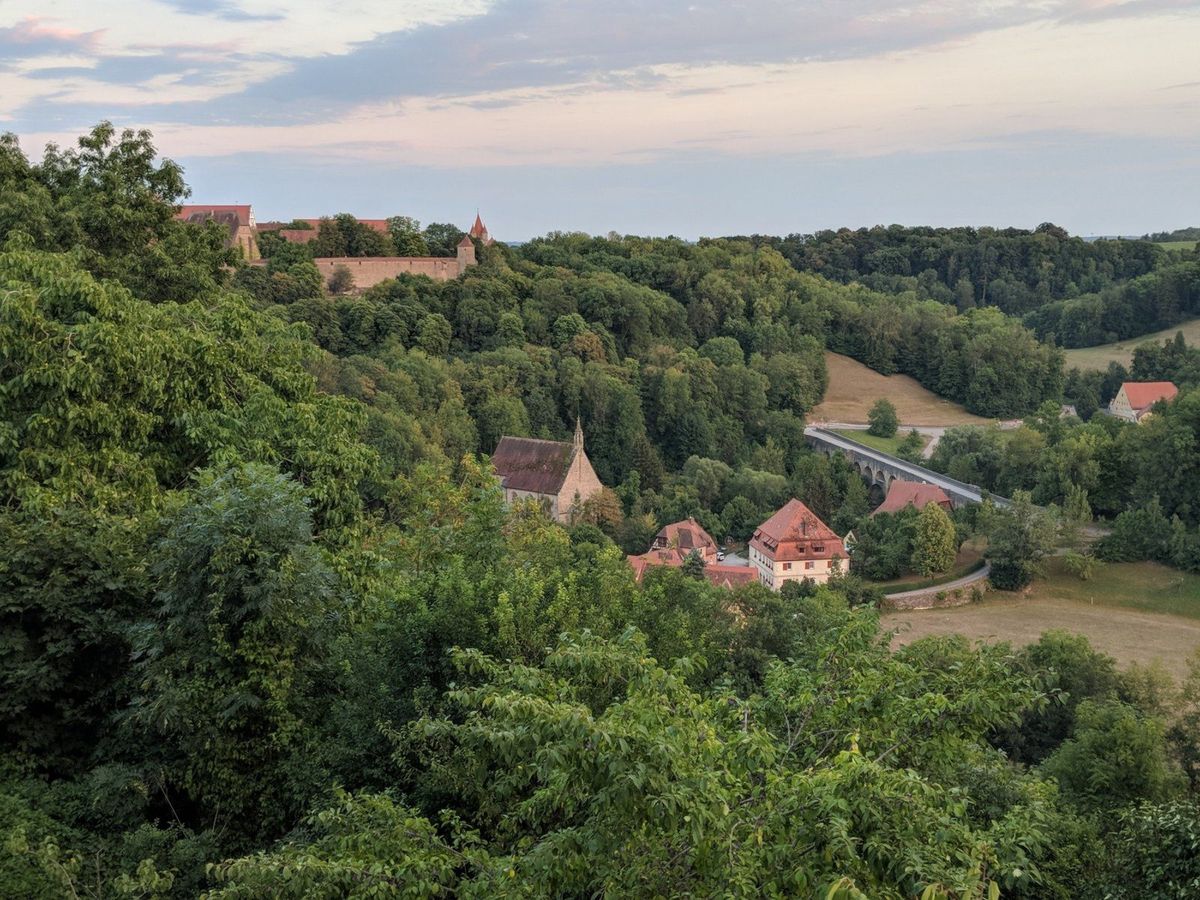 Rothenberg is Rosy