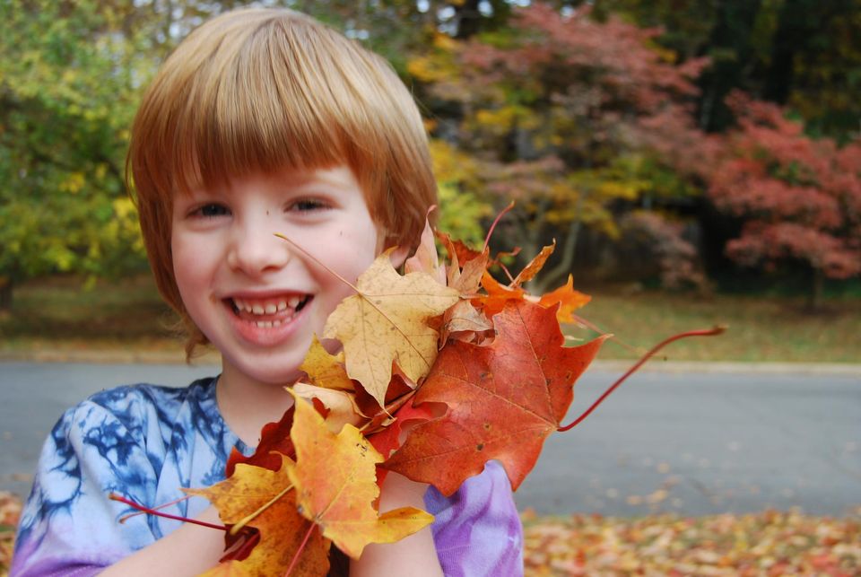 Parenting equivalents of "How 'bout this weather?!"