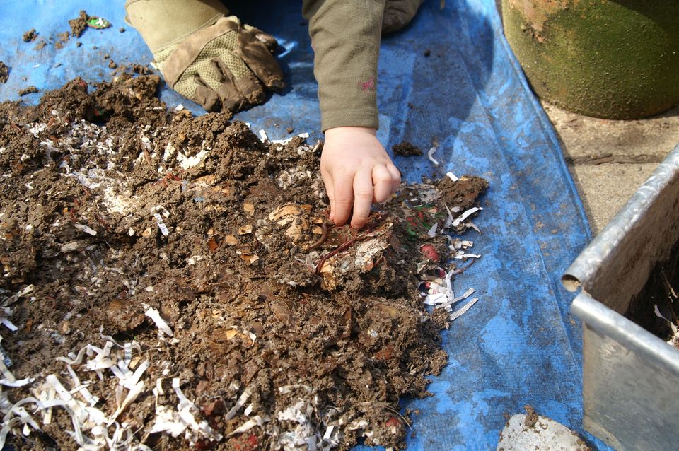 Guess I'll learn about worms...