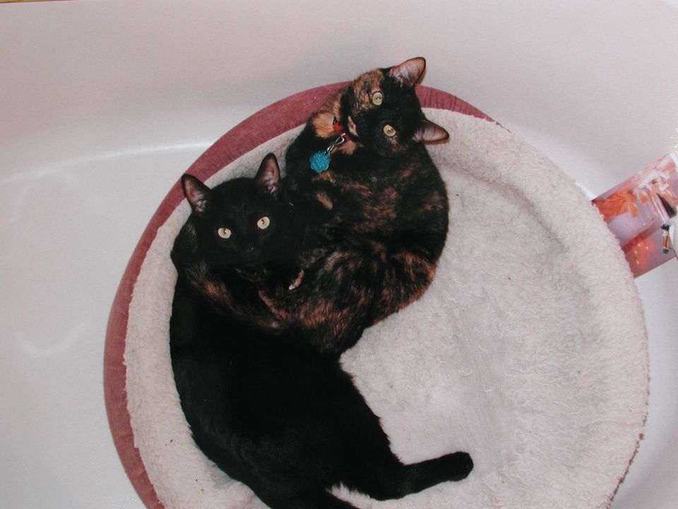 You only get one Chance