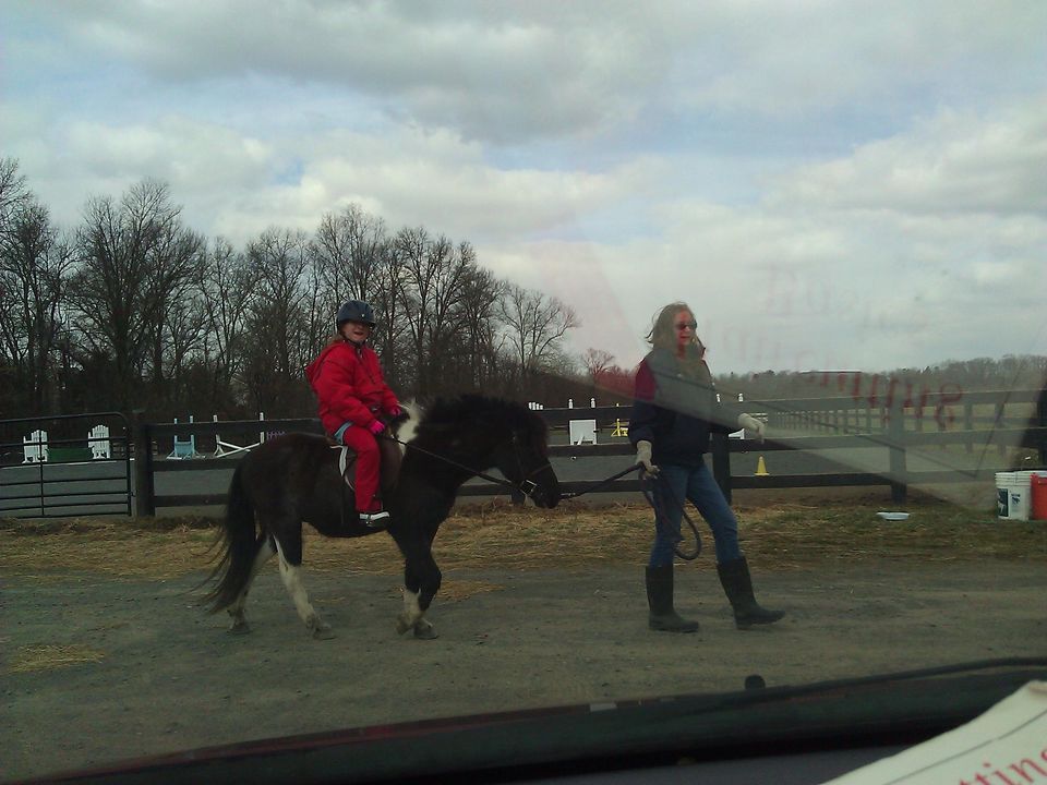 Second Horseback Riding Lesson