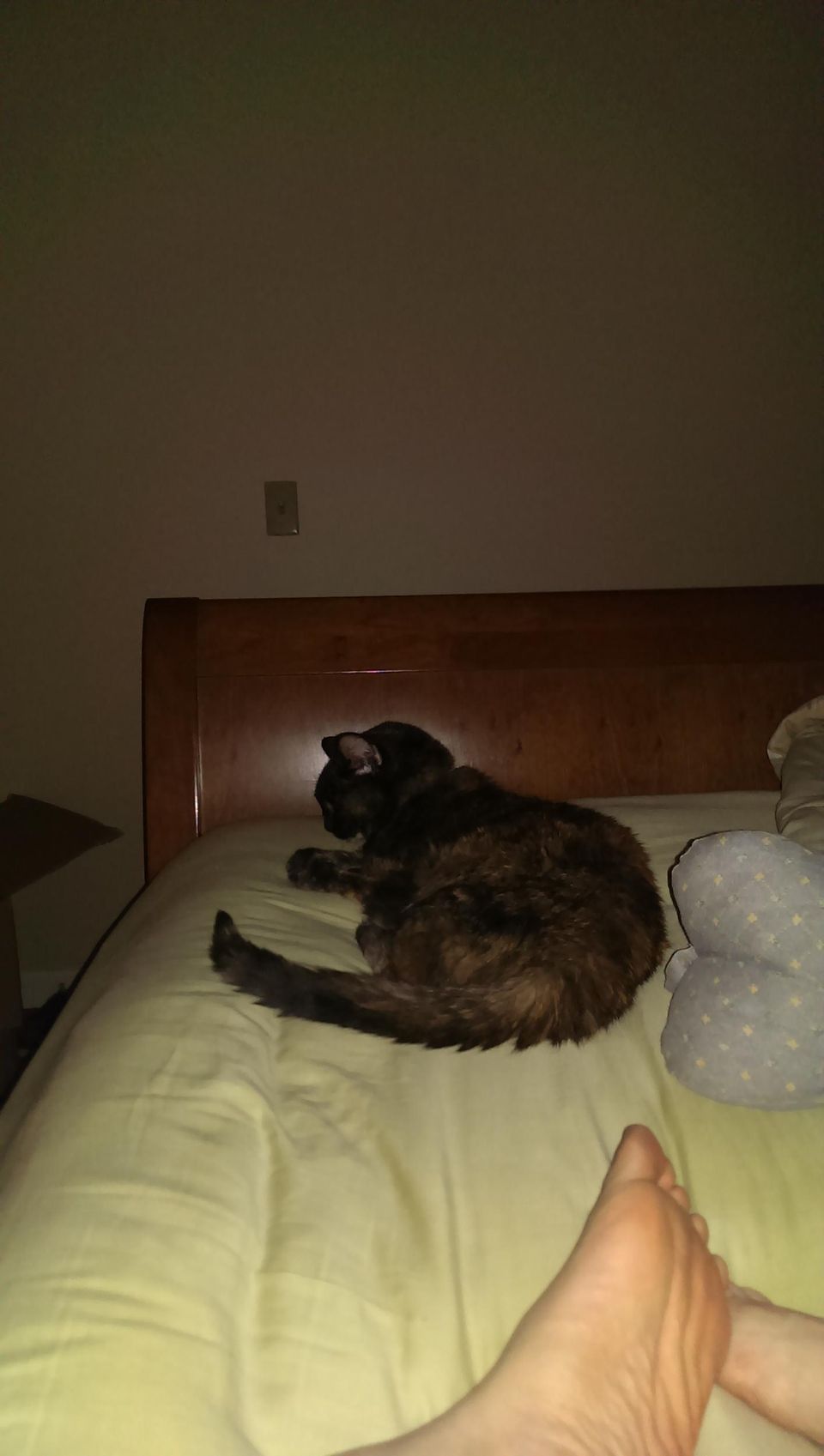 Nutmeg is the best spice.