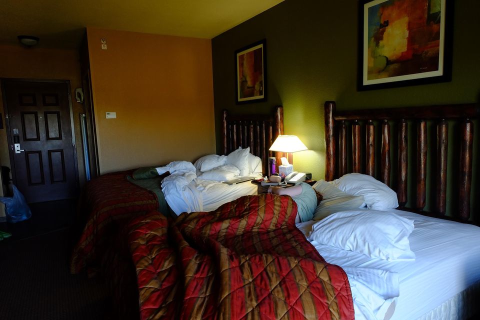 Oh The Places You'll Go: Monkey and Mom Take A Trip