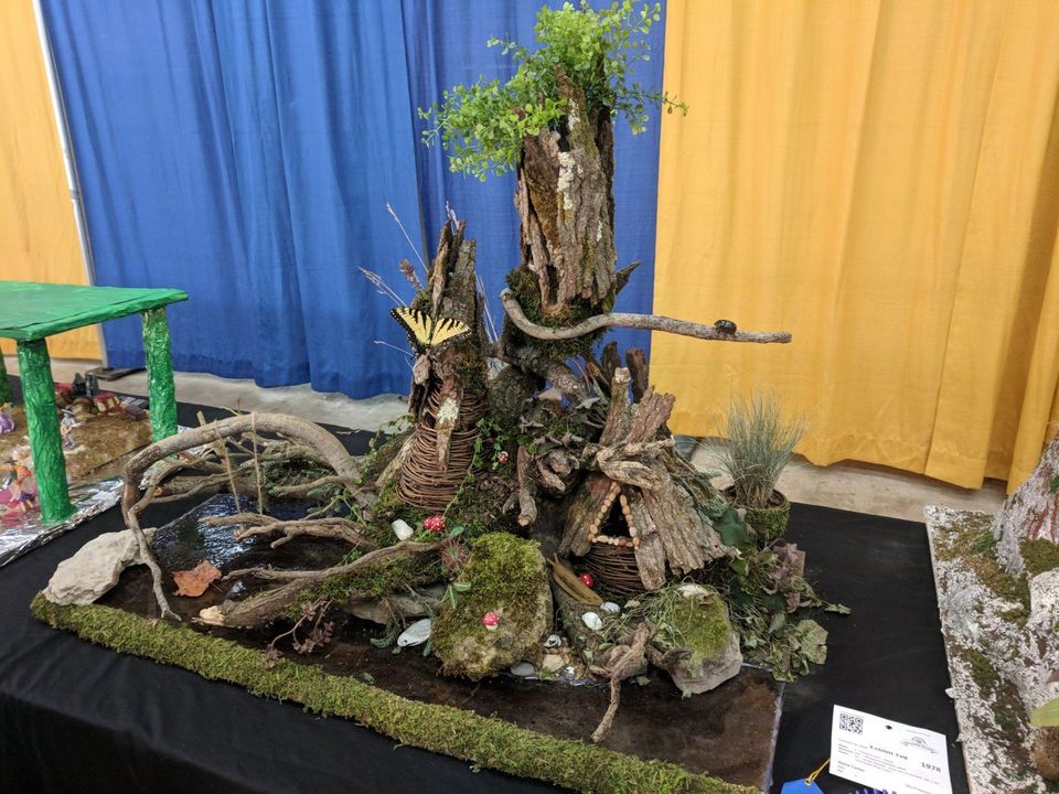 Dare To Compare State Fairs