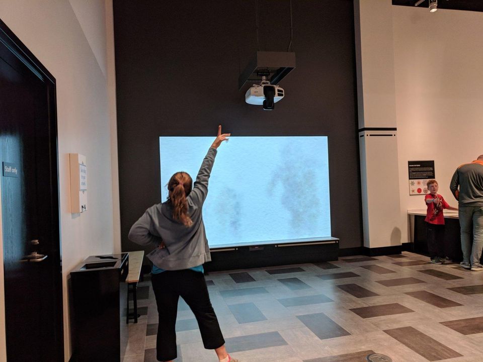 Fresh Face At The Frist