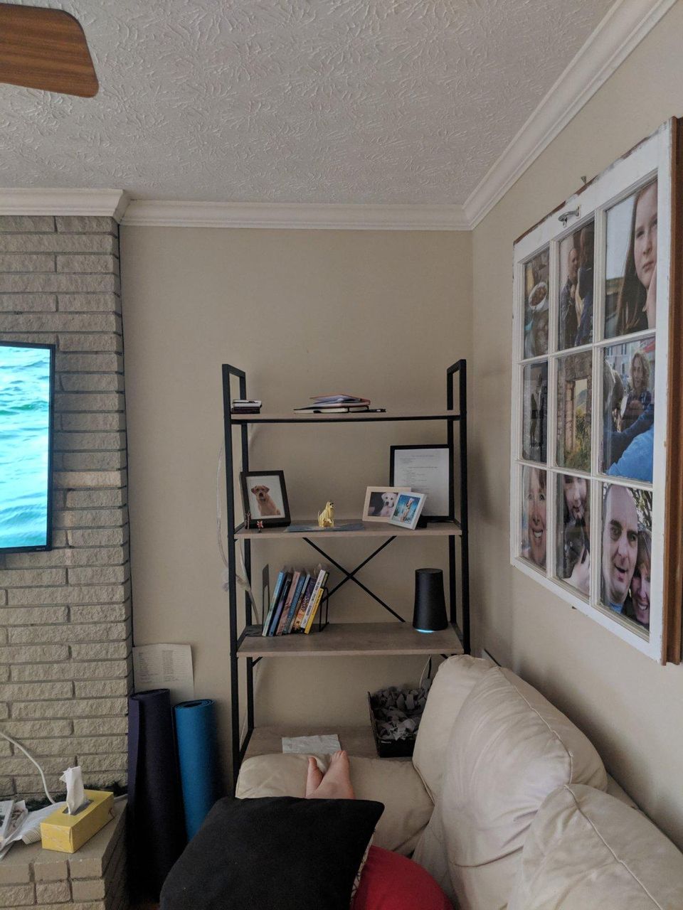 Let The 🌞 Shine In.