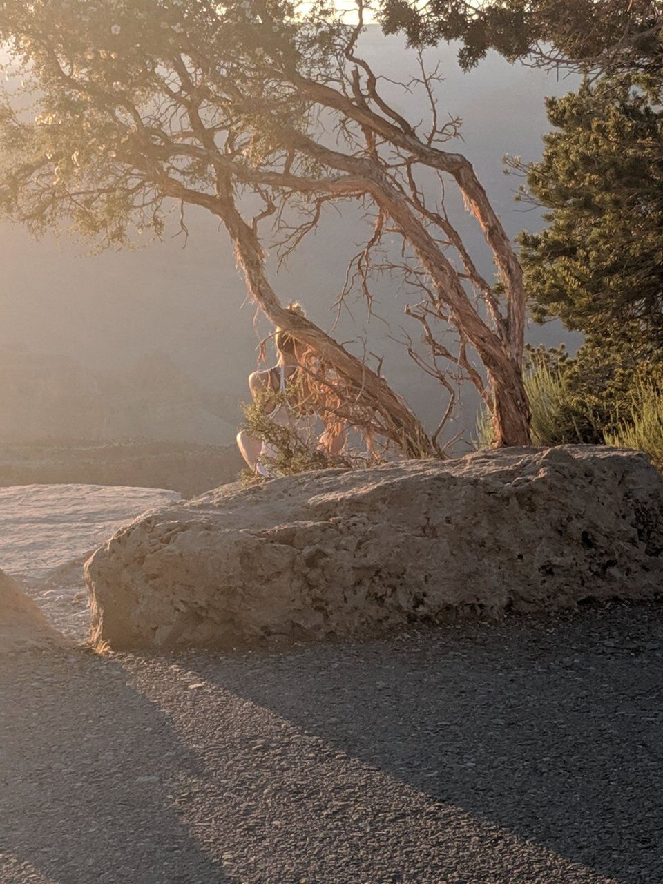 Pictures Of People Taking Pictures