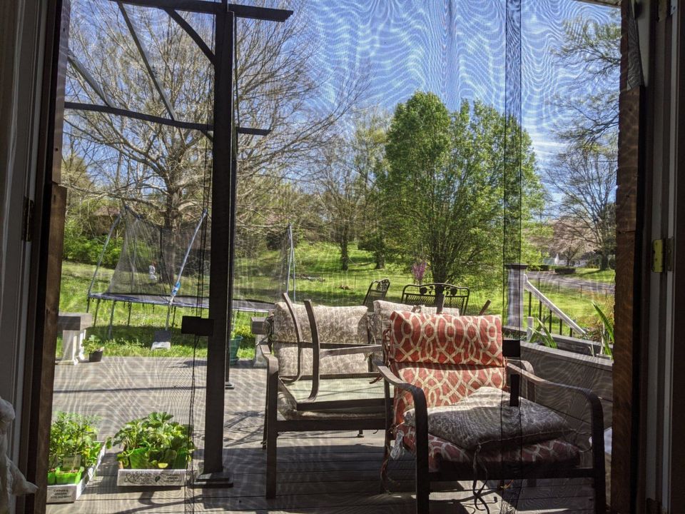 Your Cackle For Today