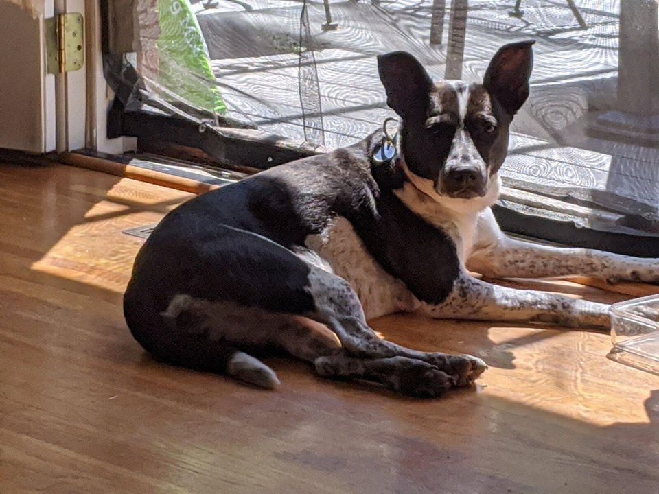 The Rest Of Mocha's Story