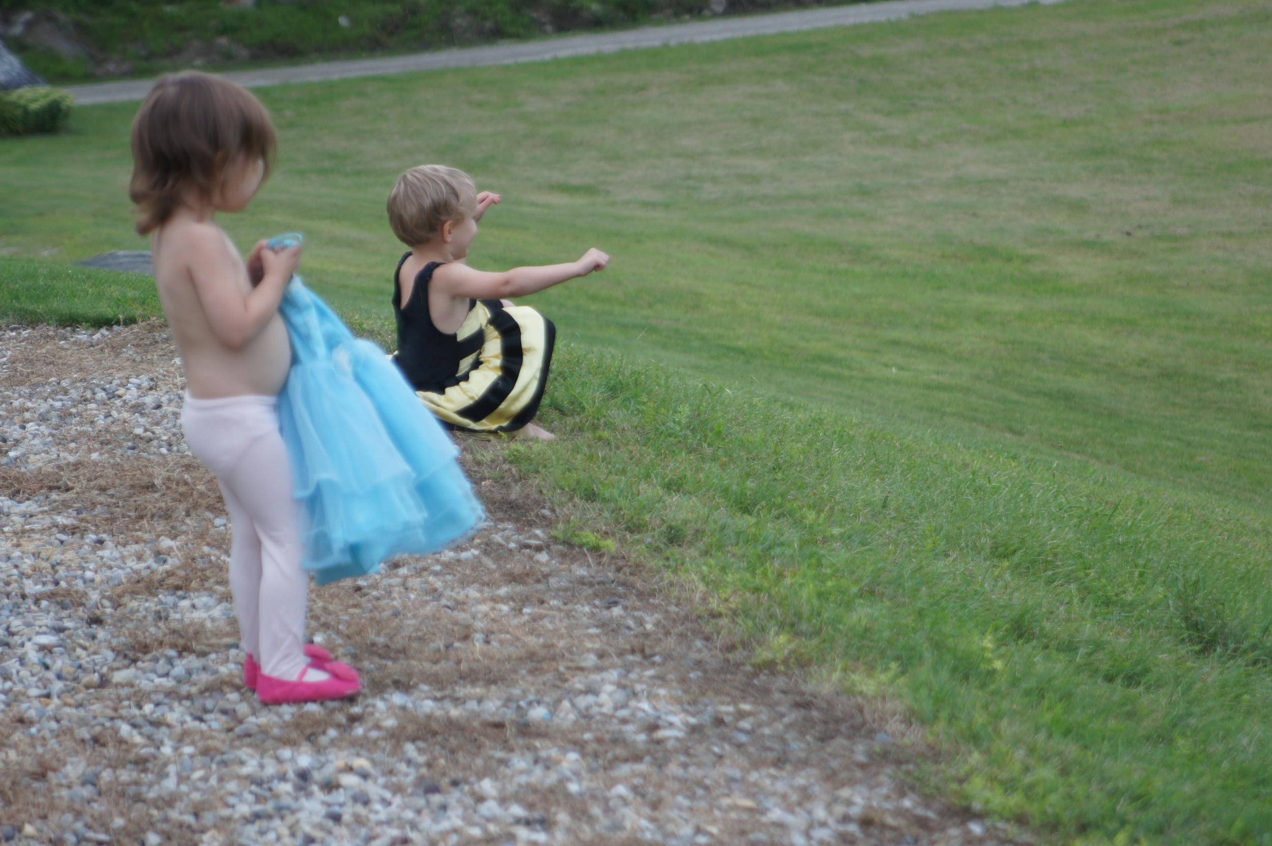 A bumblebee rolls down a hill.