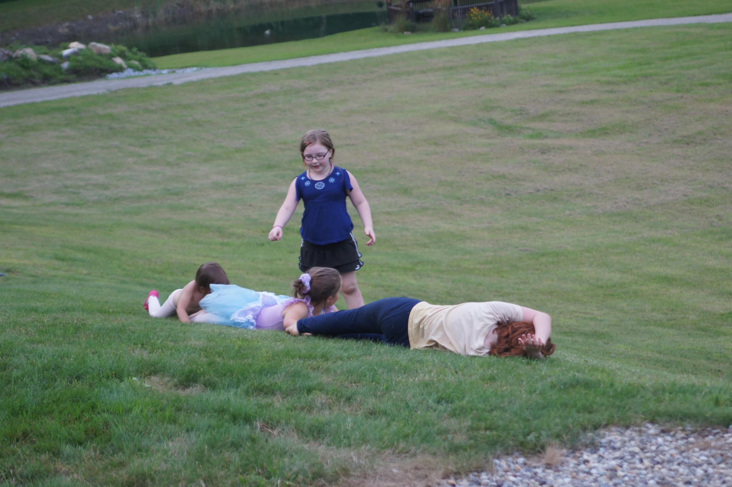 A bumblee's cousins roll down a hill.