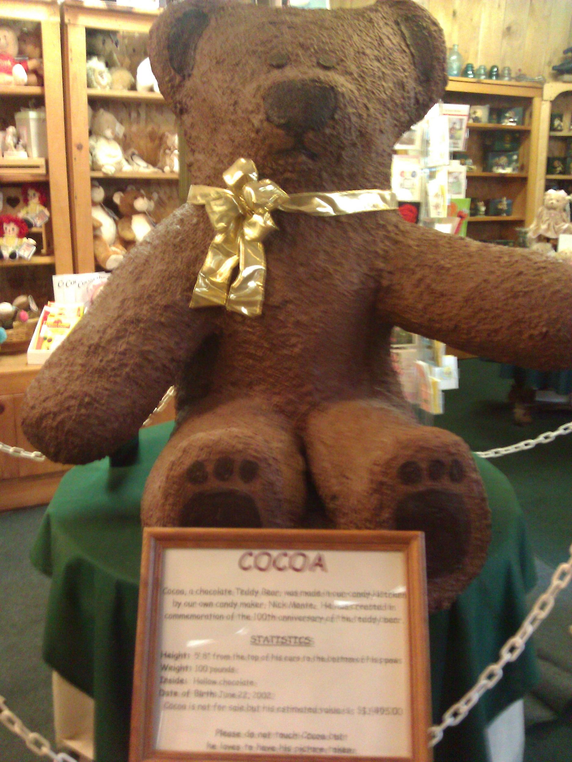 Cocoa The Bear