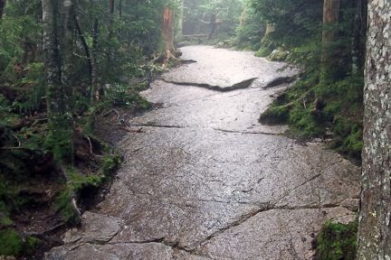 One of the rock faces, slippery from the rain. We inched our way in many spots.