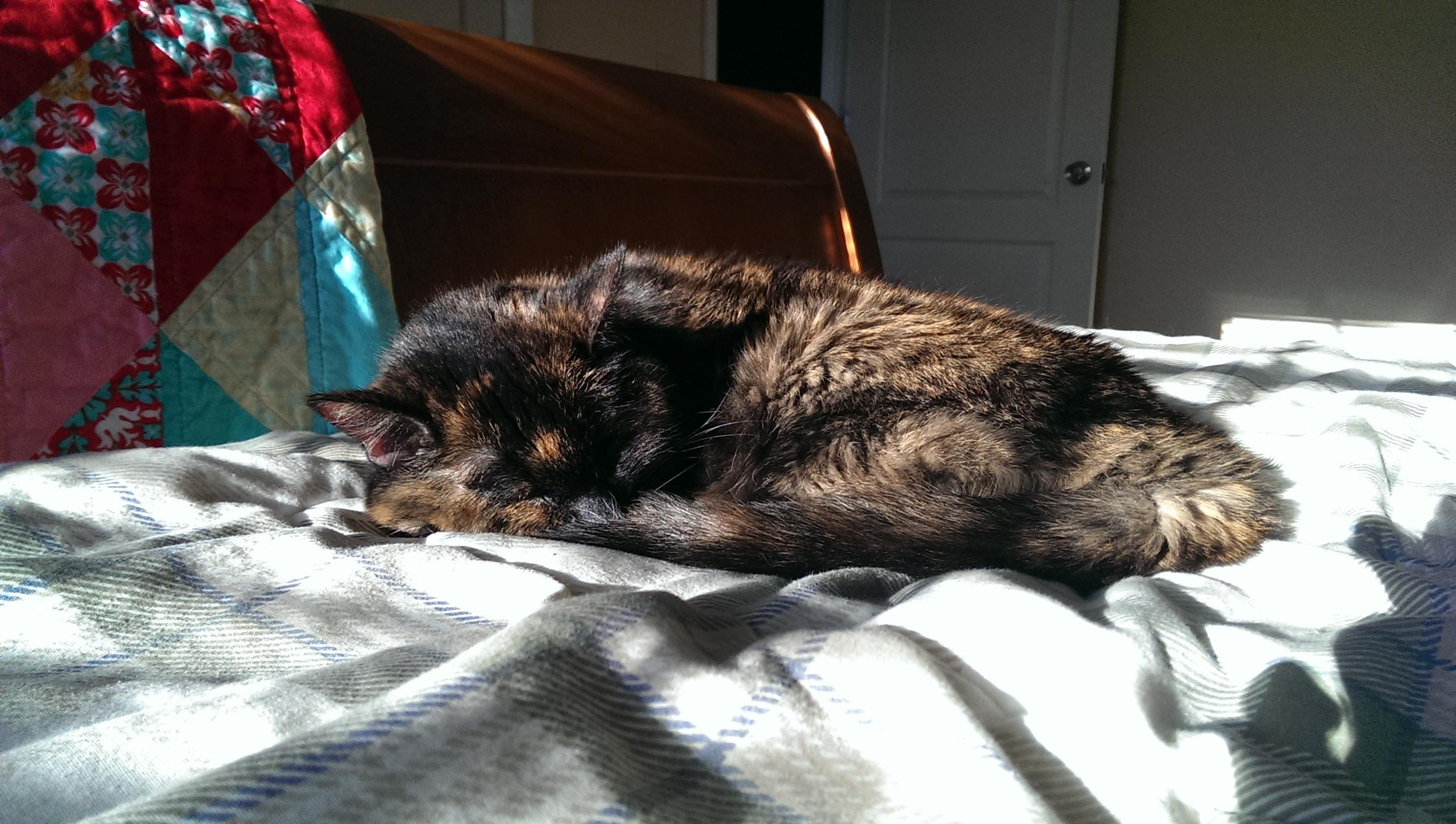 The Sunbeam of Happiness powers Nutmeg's solar panels.