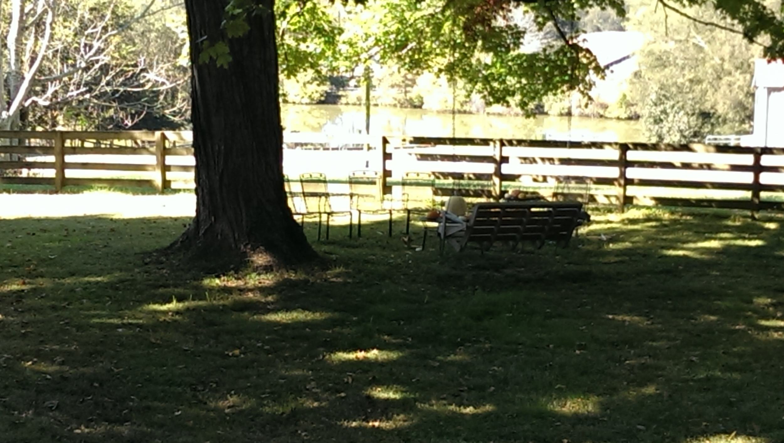 The swing and placement seemed applicable to our future fire pit.