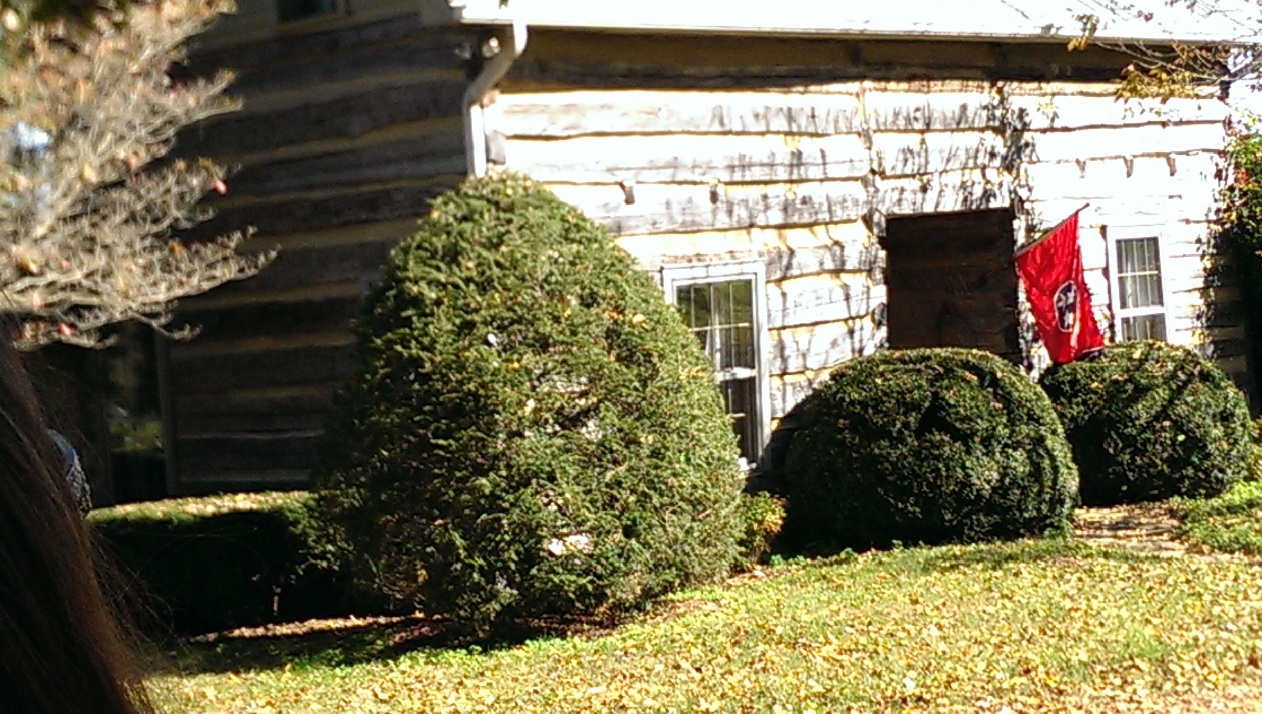 The original log cabin