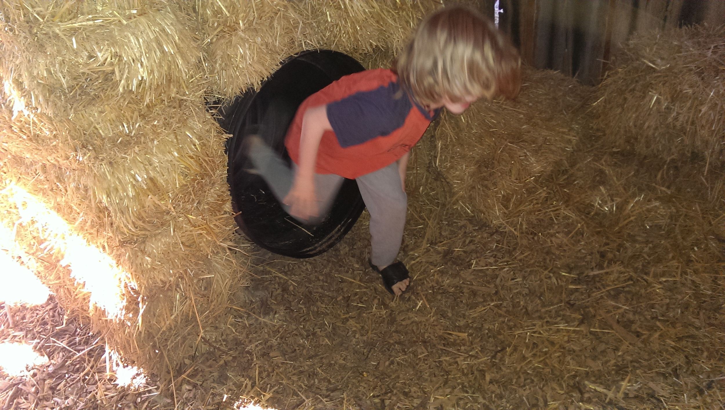 The hay bale maze was fun.