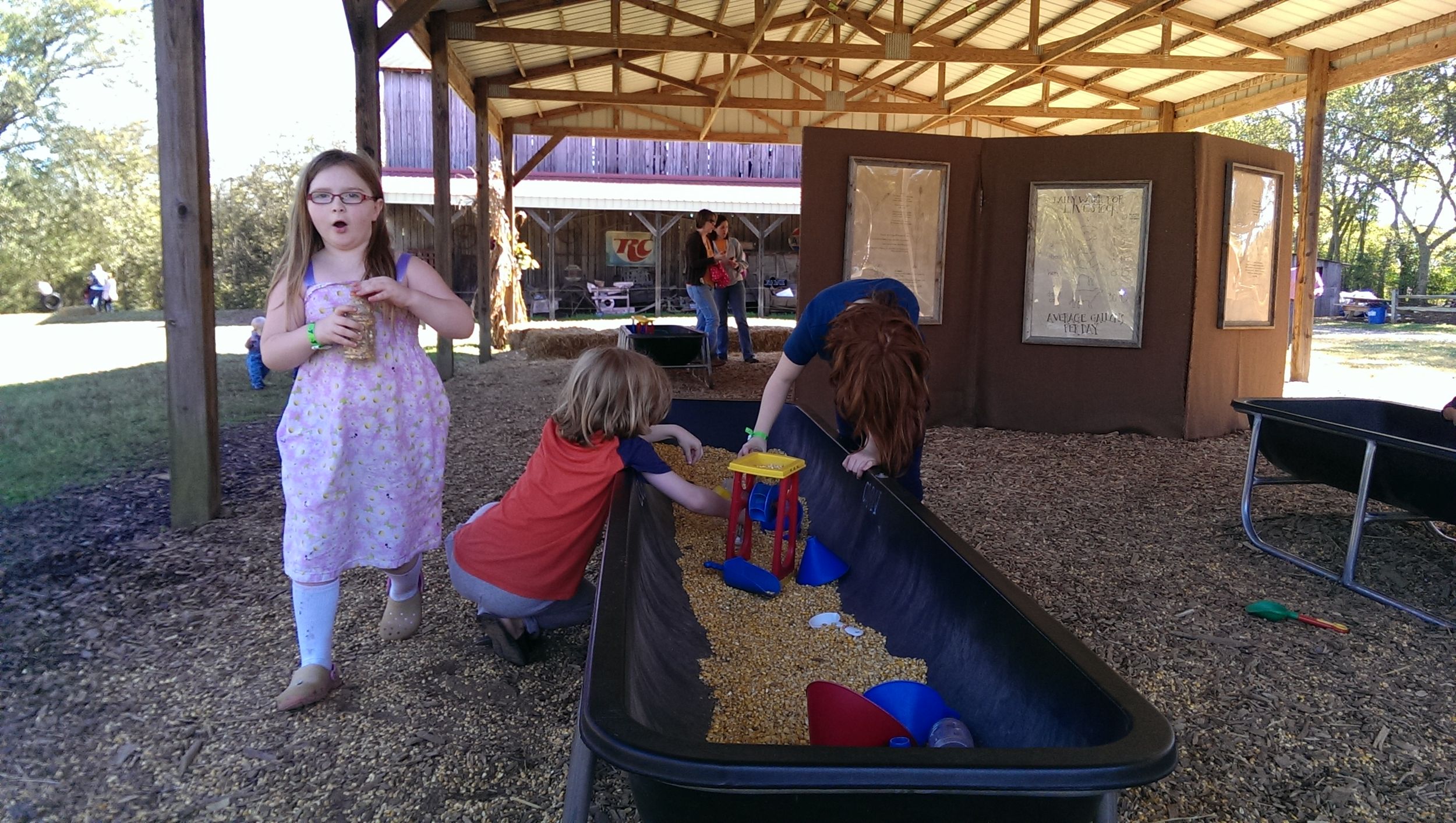 Corn and wheat...the farmer's version of the beach.