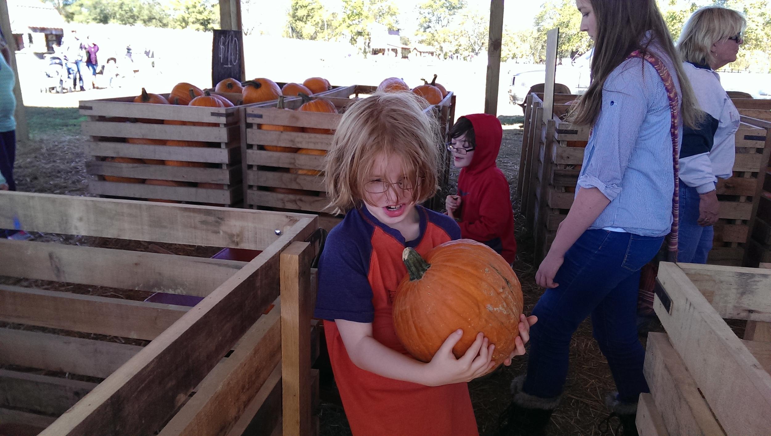 He stopped reading long enough to pick a pumpkin.