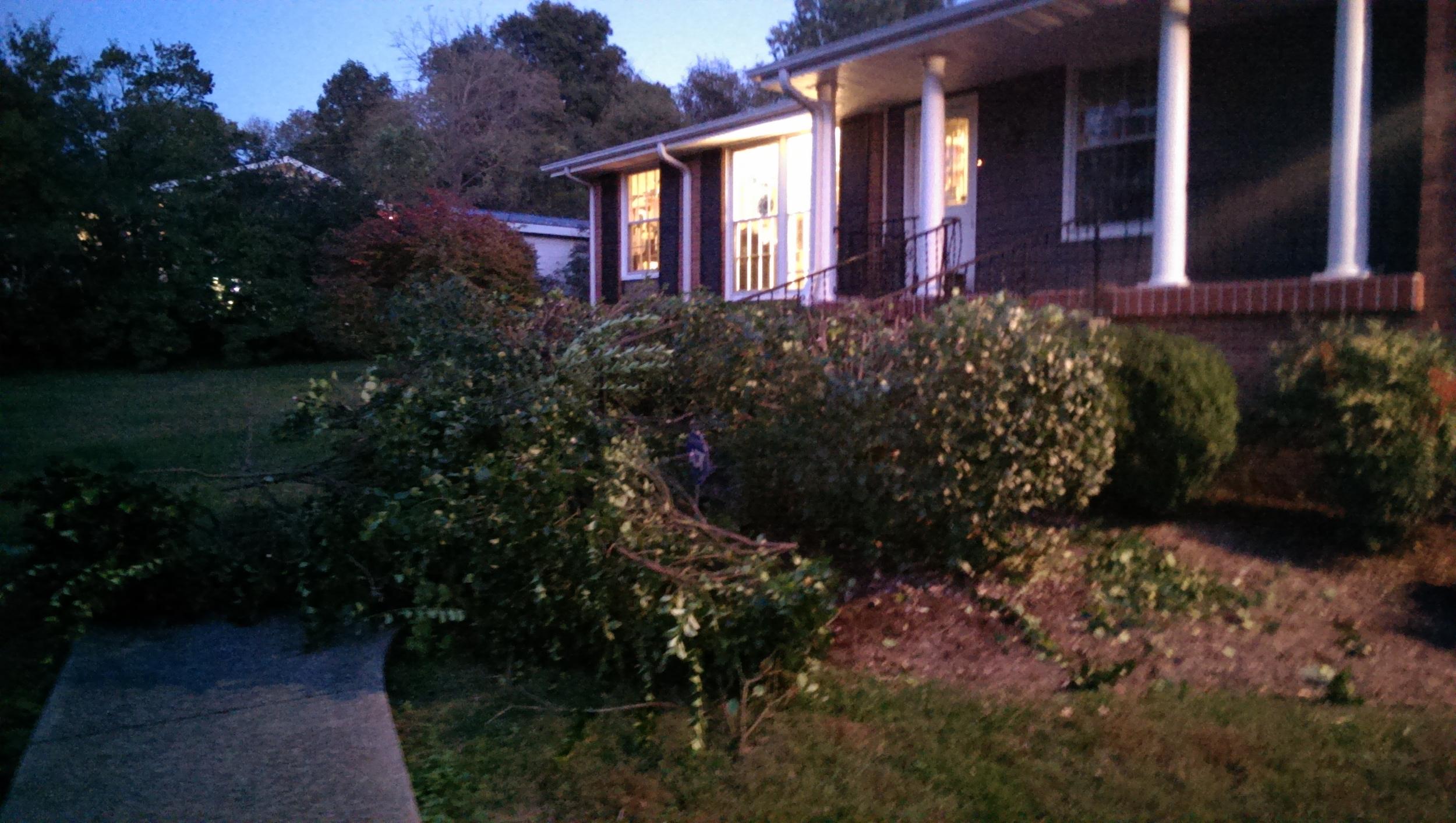 I cut the top off these two shrubs that were hiding the front of the house.