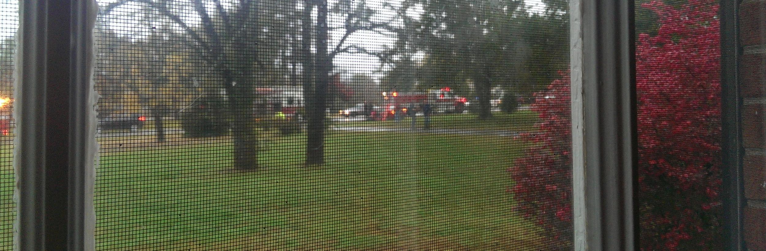 The red car that rolled into the neighbors yard.