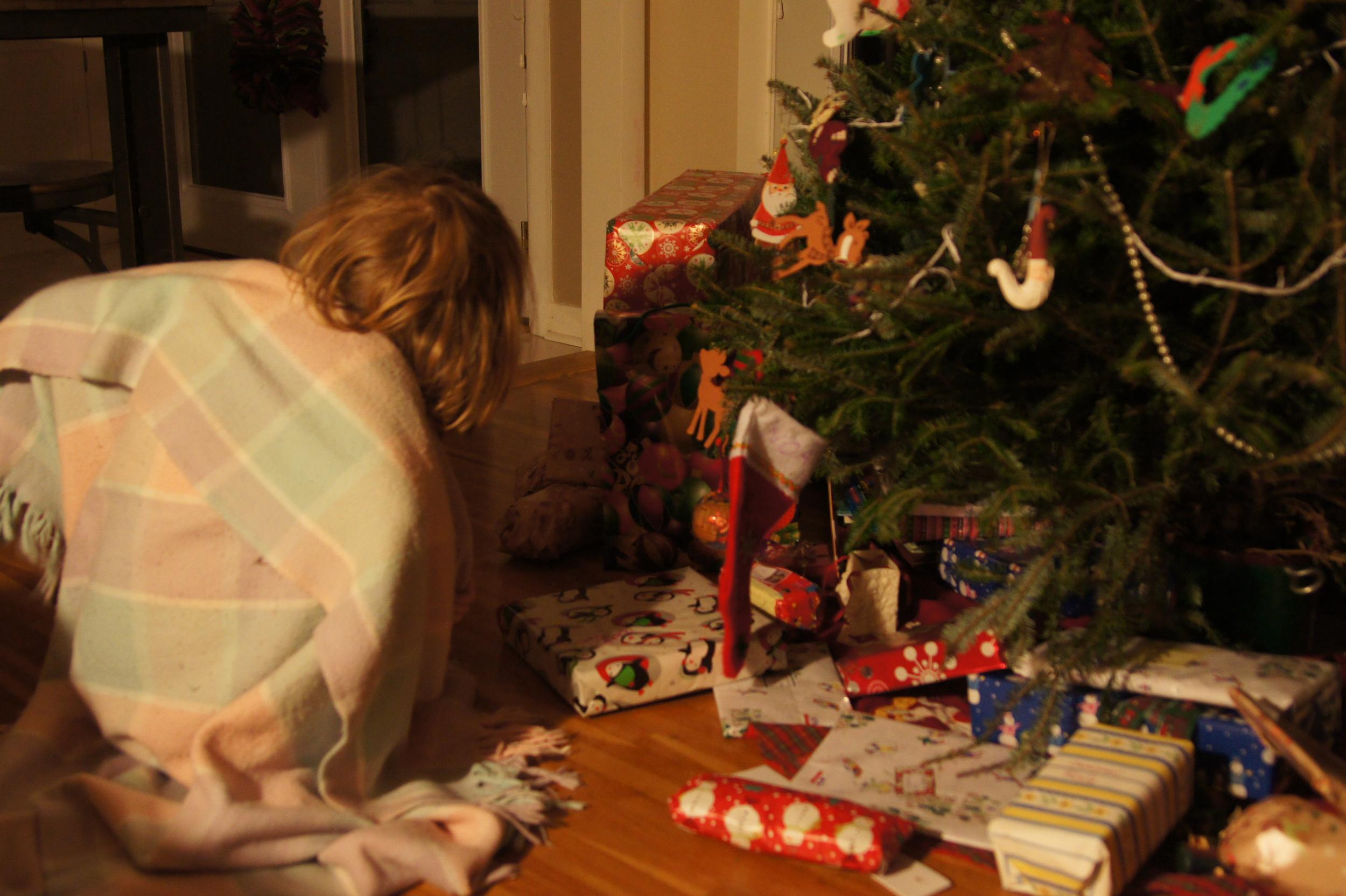 Snuggled in a blanket, next to the tree. Still dark outside.