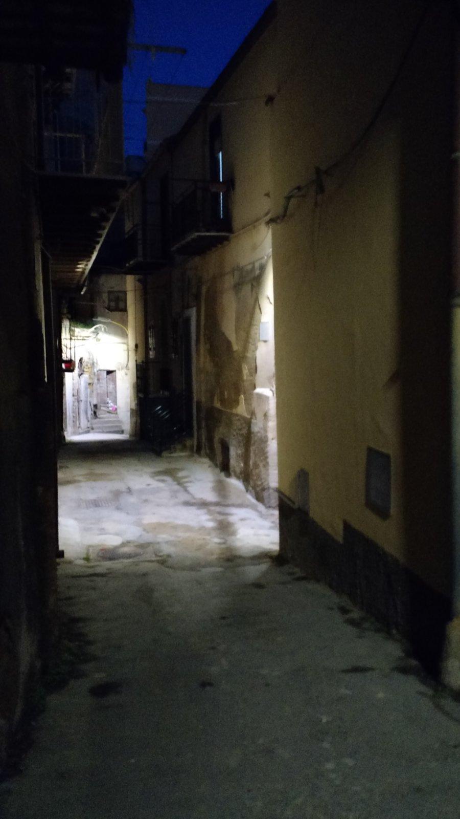 The alley in front of our door.