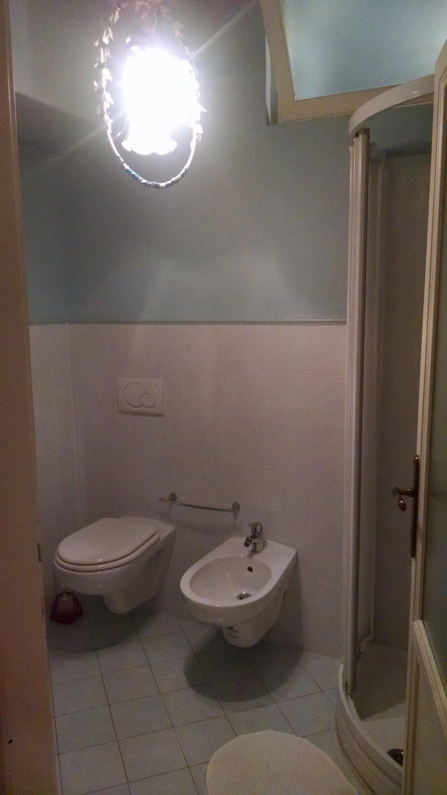 The larger of two bathrooms.
