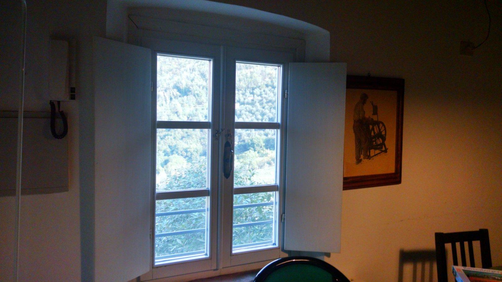 The shutters in the living room- open.
