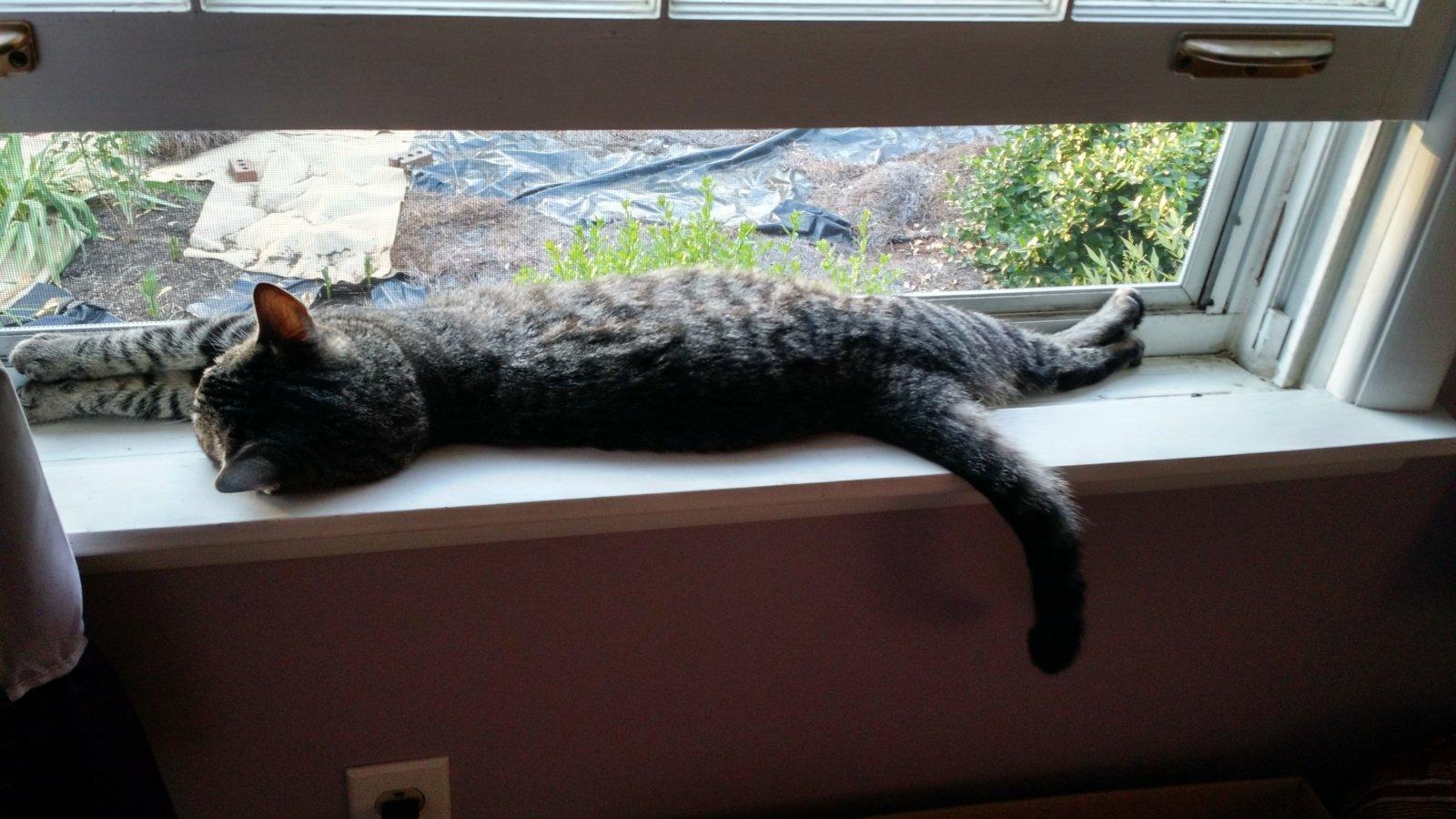 Window lounger