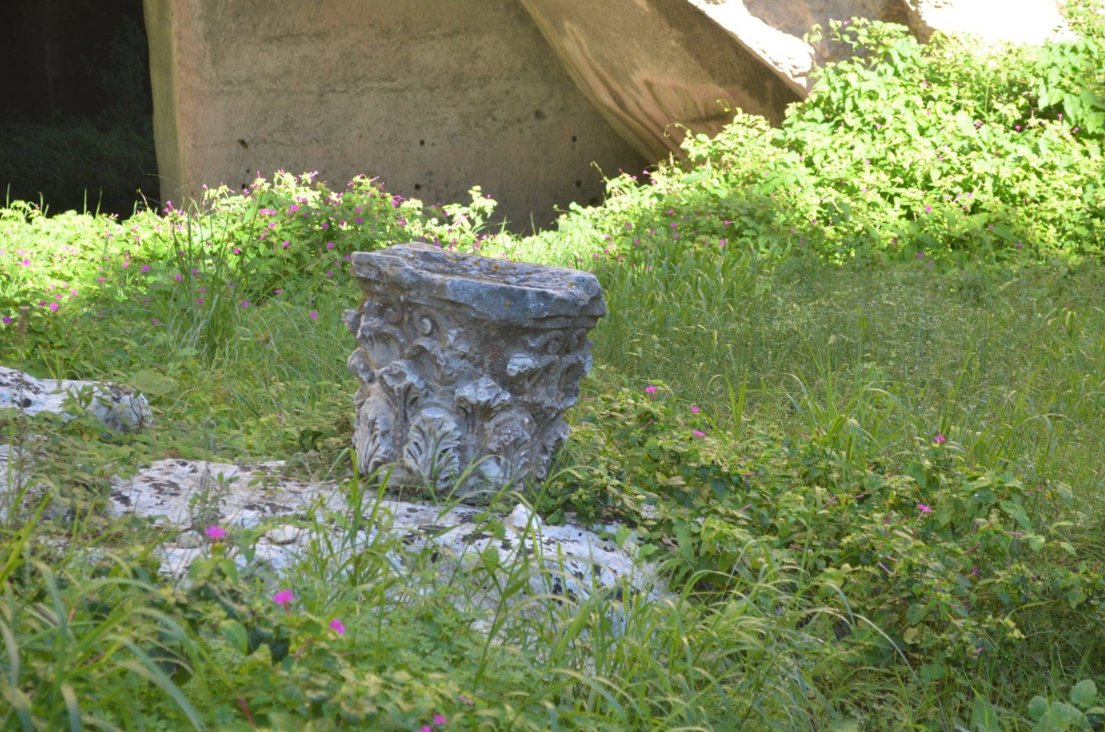 Appears on lots of columns and decorations.