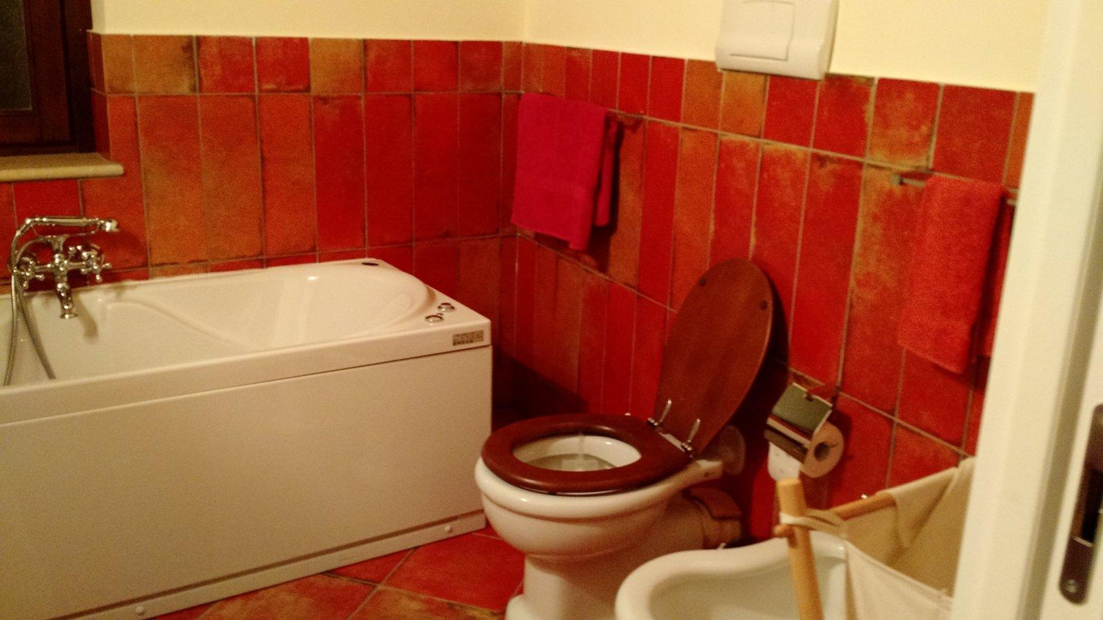 Loved the soaking tub and burnt umber tile.