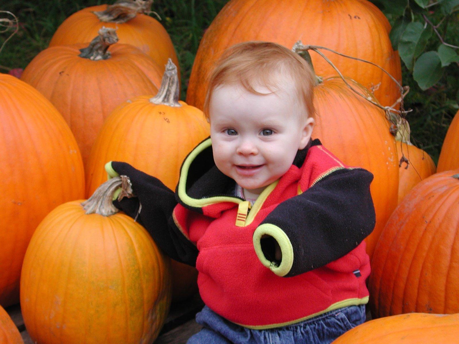 The first pumpkin patch with the solo child.