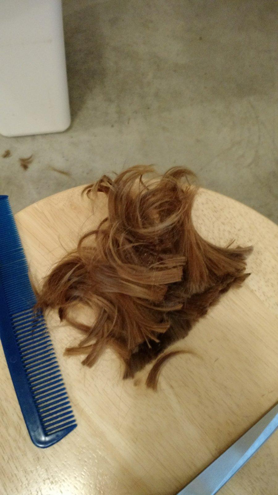 The hair from the back.