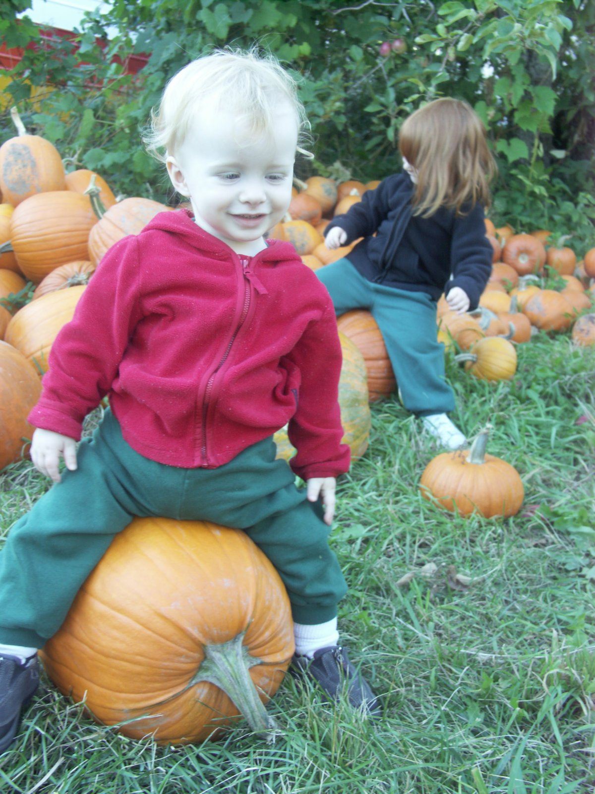 The pumpkin patch when there were only two.