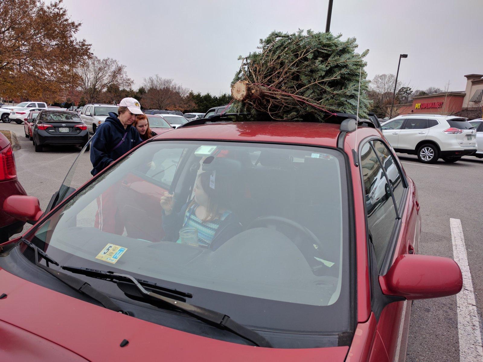 Tree on top, ready to roll.