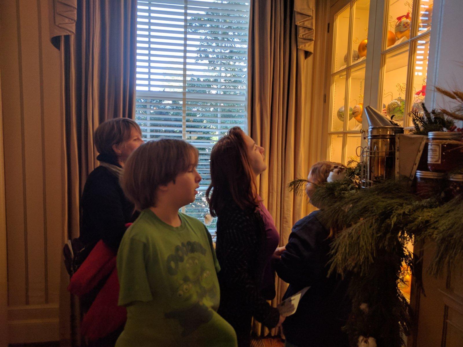 Looking at the ornaments.