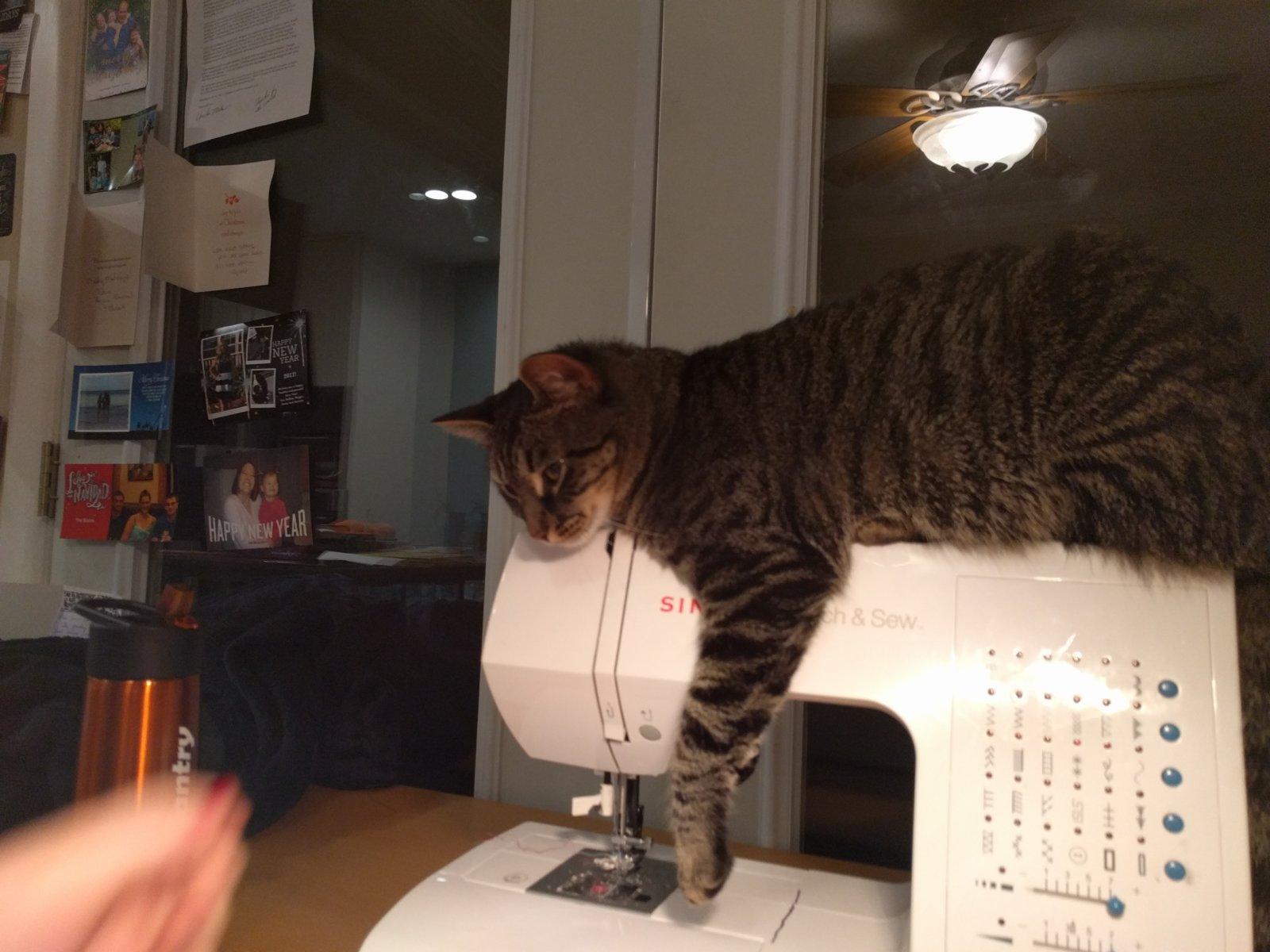 Then she decided she wanted to learn to sew.